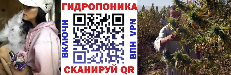 Конопля планчик  Купить закладки  Елизаветинская 